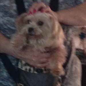 Meet your Posher, Yvonne